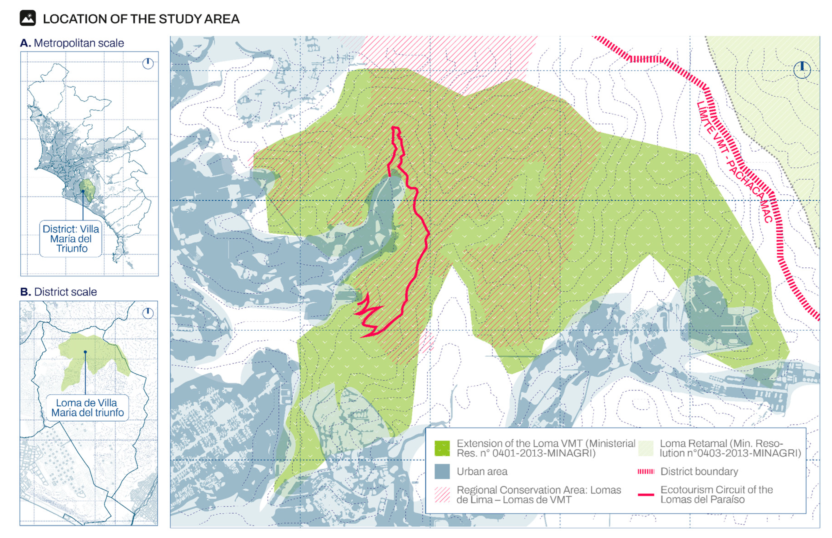 Forests 16 01310 g008