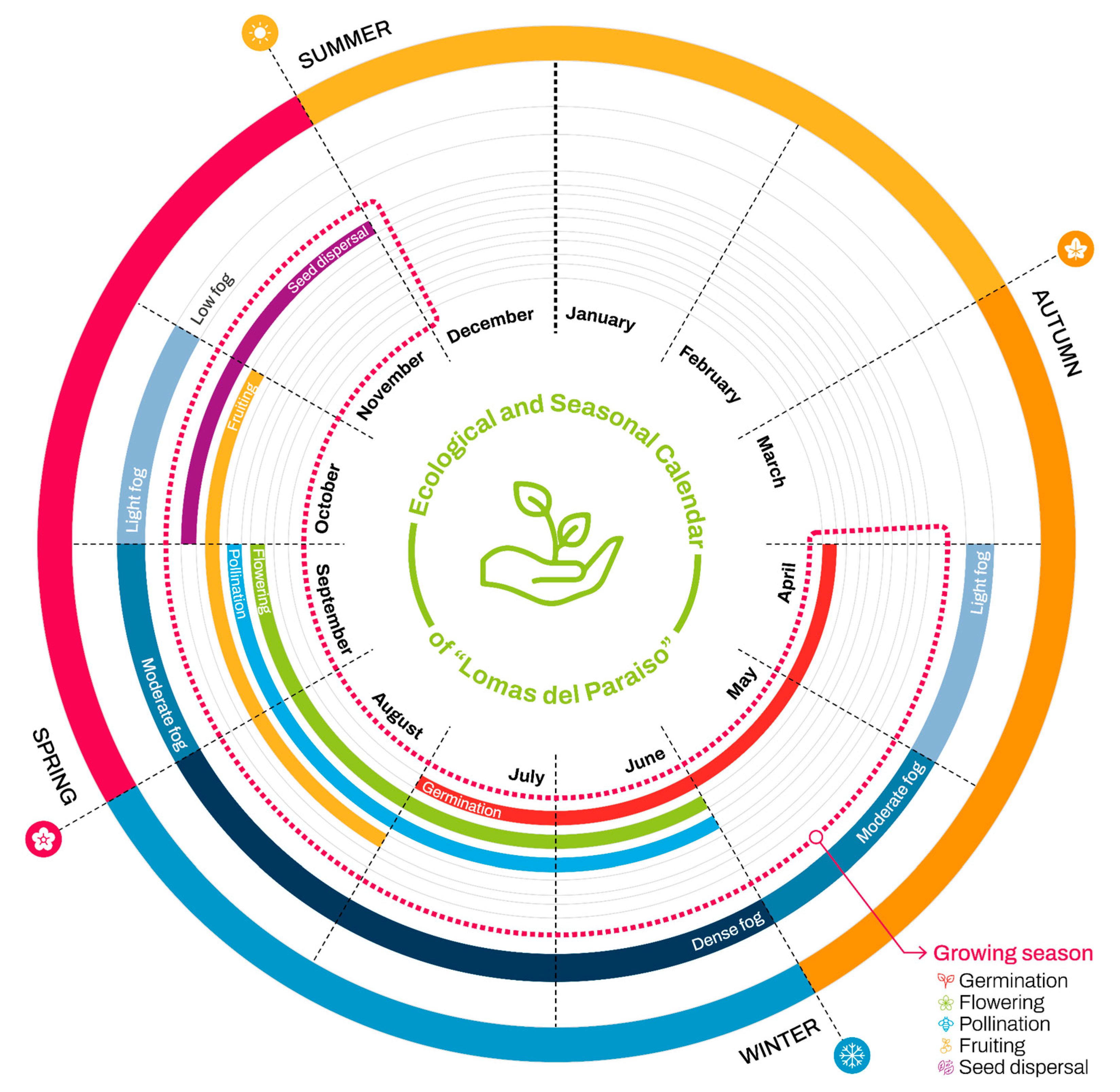 Forests 16 01310 g011