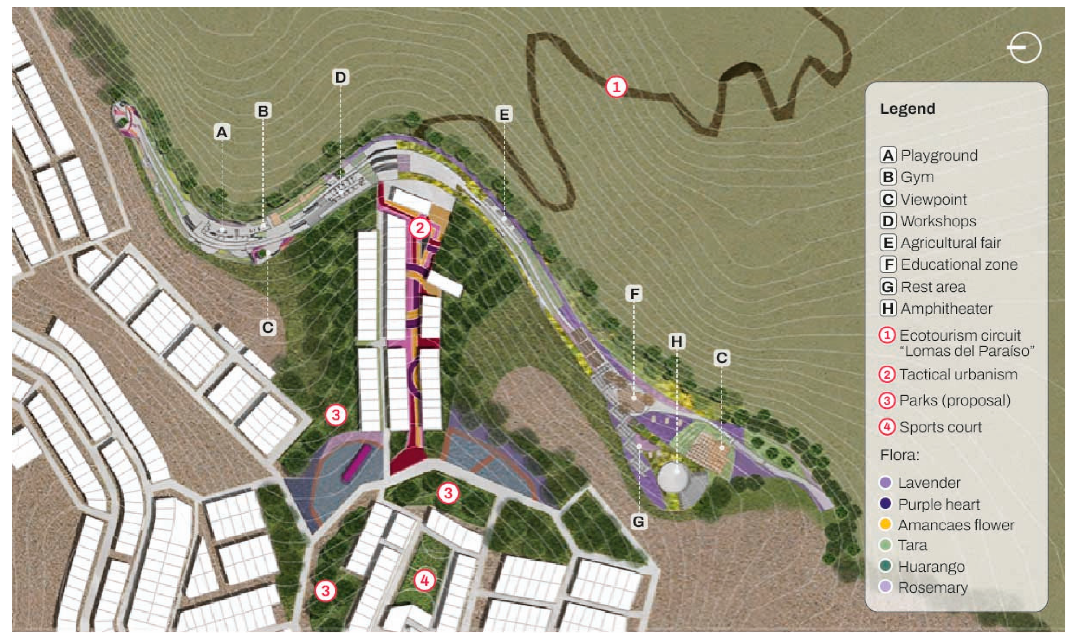 Forests 16 01310 g015