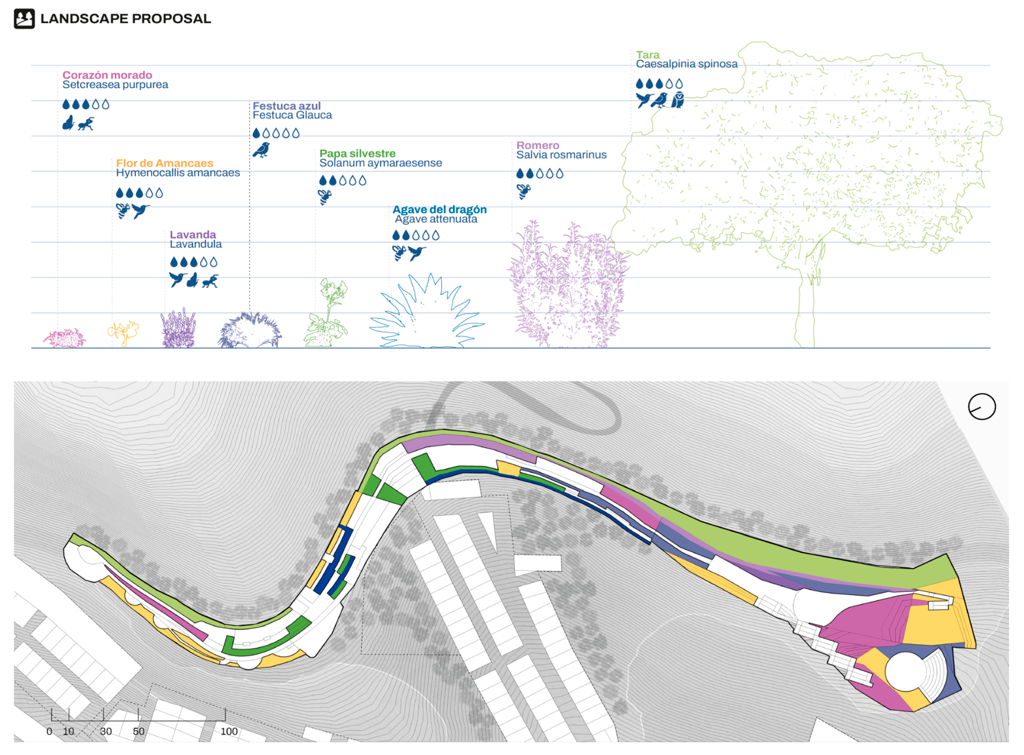 Forests 16 01310 g022