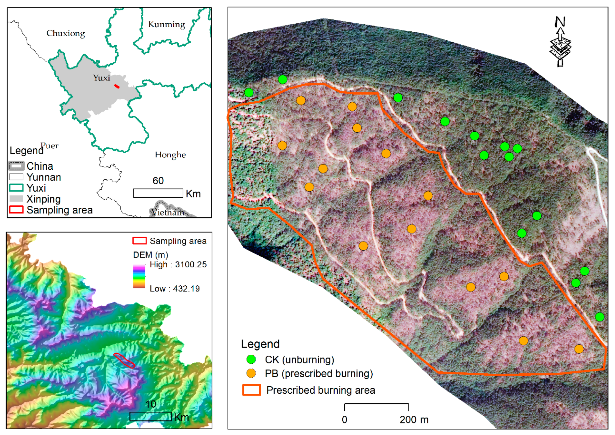 Forests 16 01312 g001 Forests 16 01312 g001