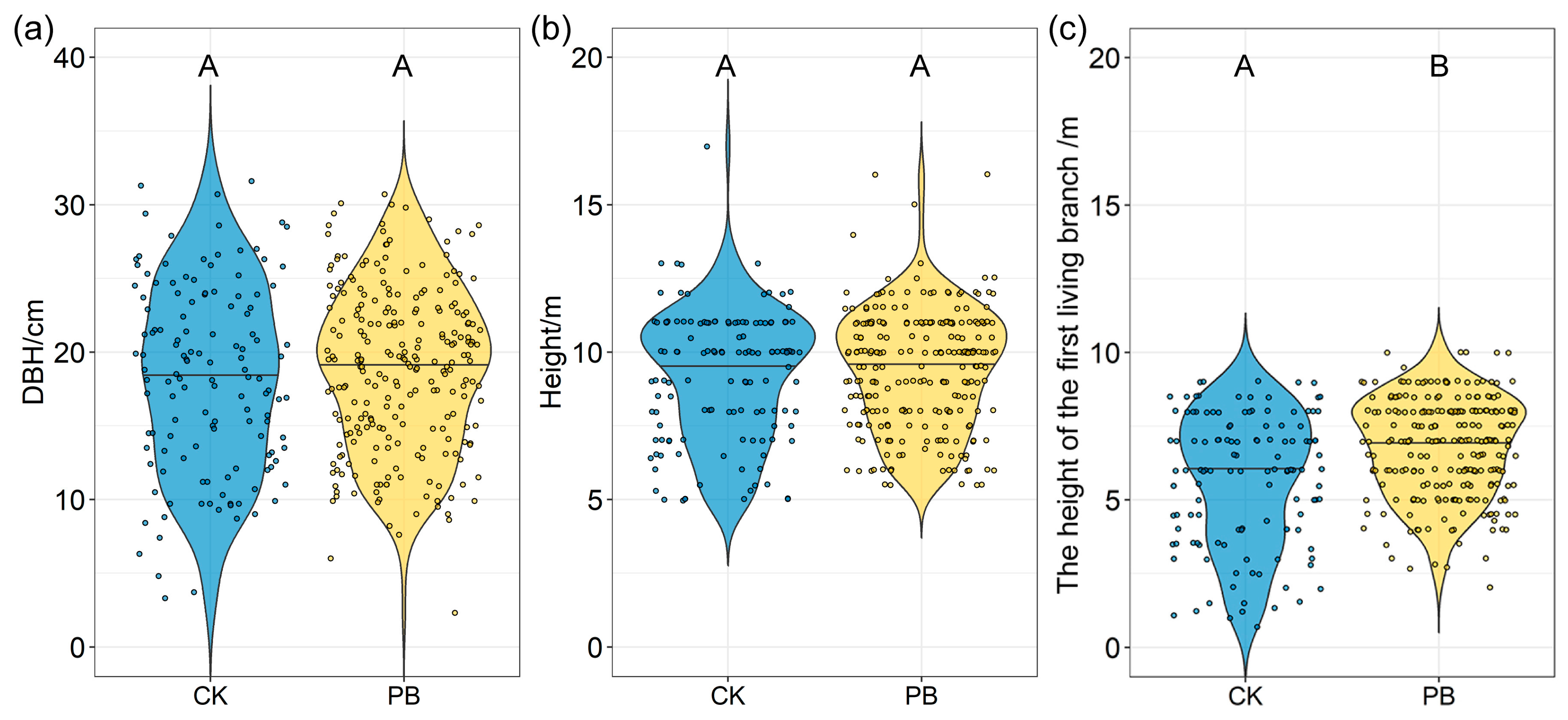 Forests 16 01312 g003 Forests 16 01312 g003