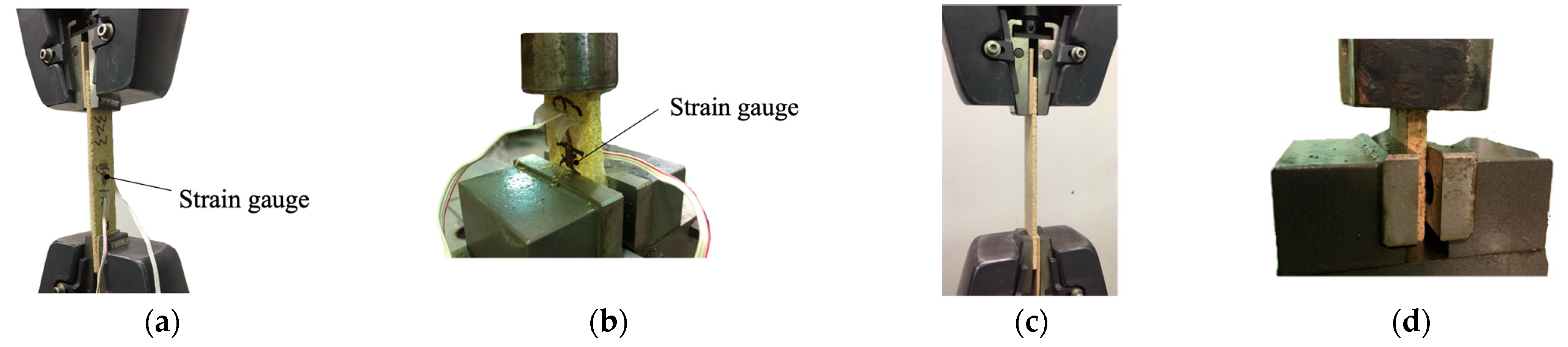 Forests 16 01315 g006