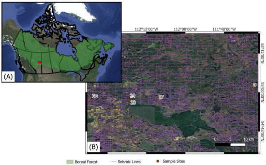 Forests 16 01330 g001