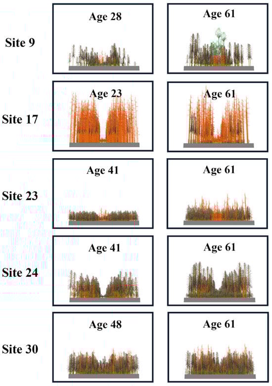 Forests 16 01330 g0a3