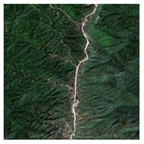 Forests 16 01342 i001