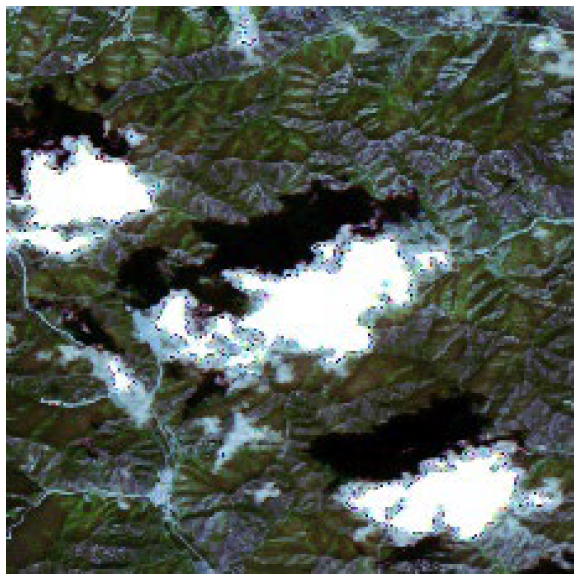 Forests 16 01342 i004