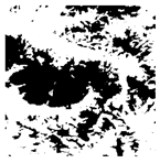 Forests 16 01342 i007