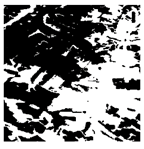 Forests 16 01342 i008