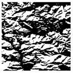 Forests 16 01342 i009