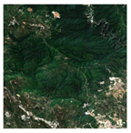 Forests 16 01342 i011