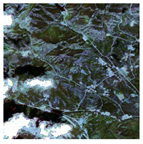 Forests 16 01342 i014