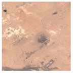 Forests 16 01342 i015