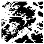 Forests 16 01342 i017