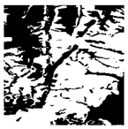 Forests 16 01342 i018