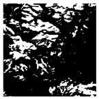 Forests 16 01342 i019