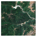 Forests 16 01342 i021