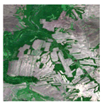 Forests 16 01342 i023