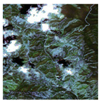 Forests 16 01342 i024