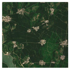 Forests 16 01342 i025