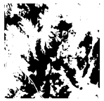 Forests 16 01342 i027