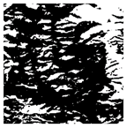 Forests 16 01342 i029