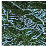 Forests 16 01342 i031