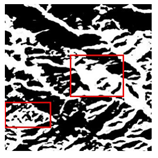 Forests 16 01342 i033