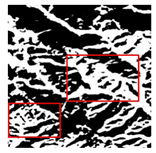 Forests 16 01342 i034