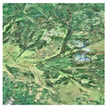 Forests 16 01342 i035