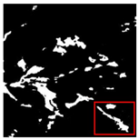 Forests 16 01342 i036