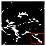 Forests 16 01342 i037