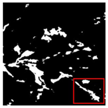 Forests 16 01342 i038