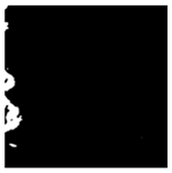 Forests 16 01342 i040