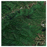 Forests 16 01342 i043