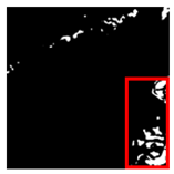 Forests 16 01342 i044