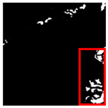 Forests 16 01342 i046