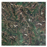 Forests 16 01342 i047