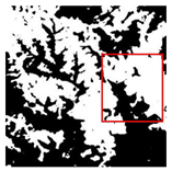 Forests 16 01342 i049