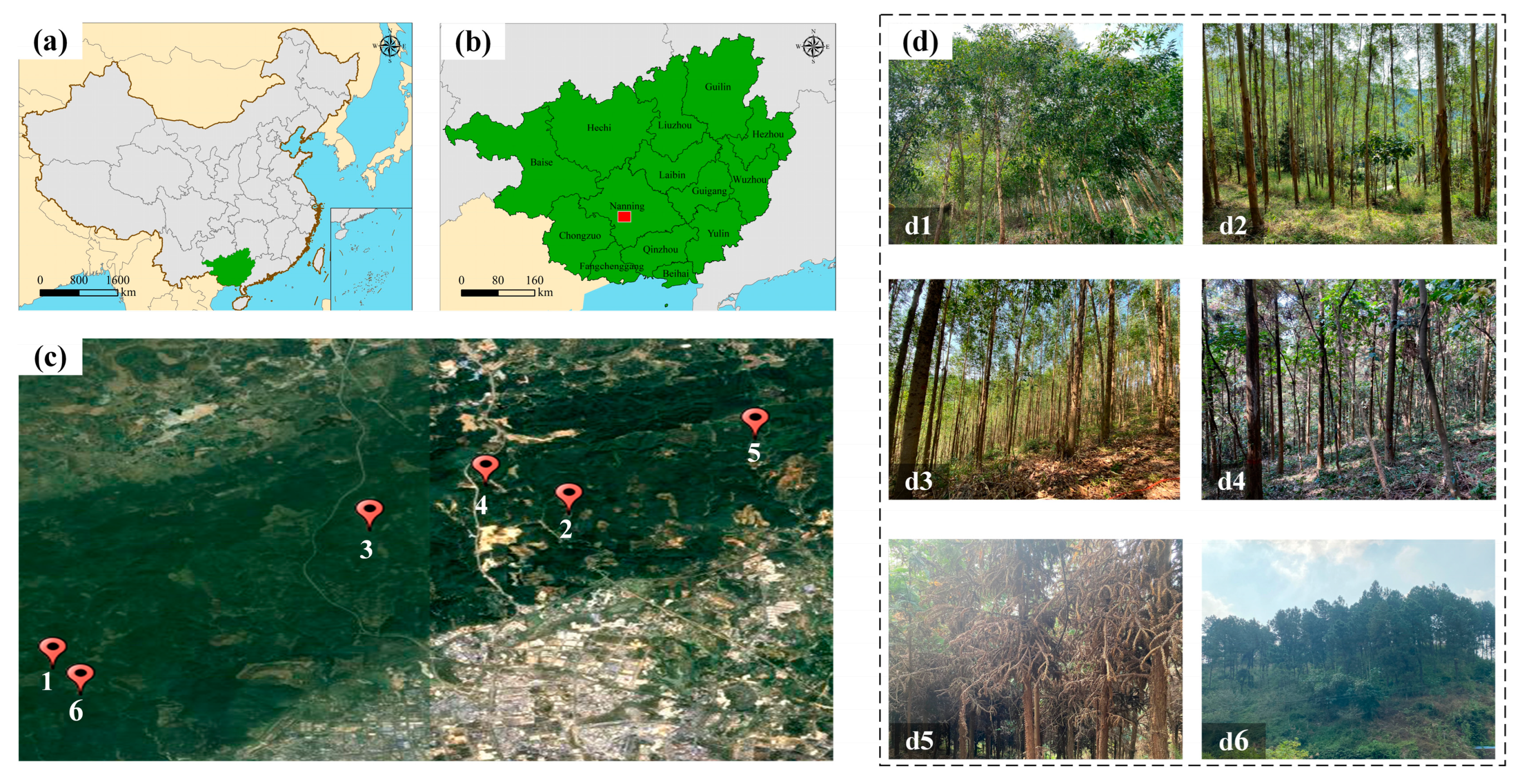 Forests 16 01347 g001 Forests 16 01347 g001