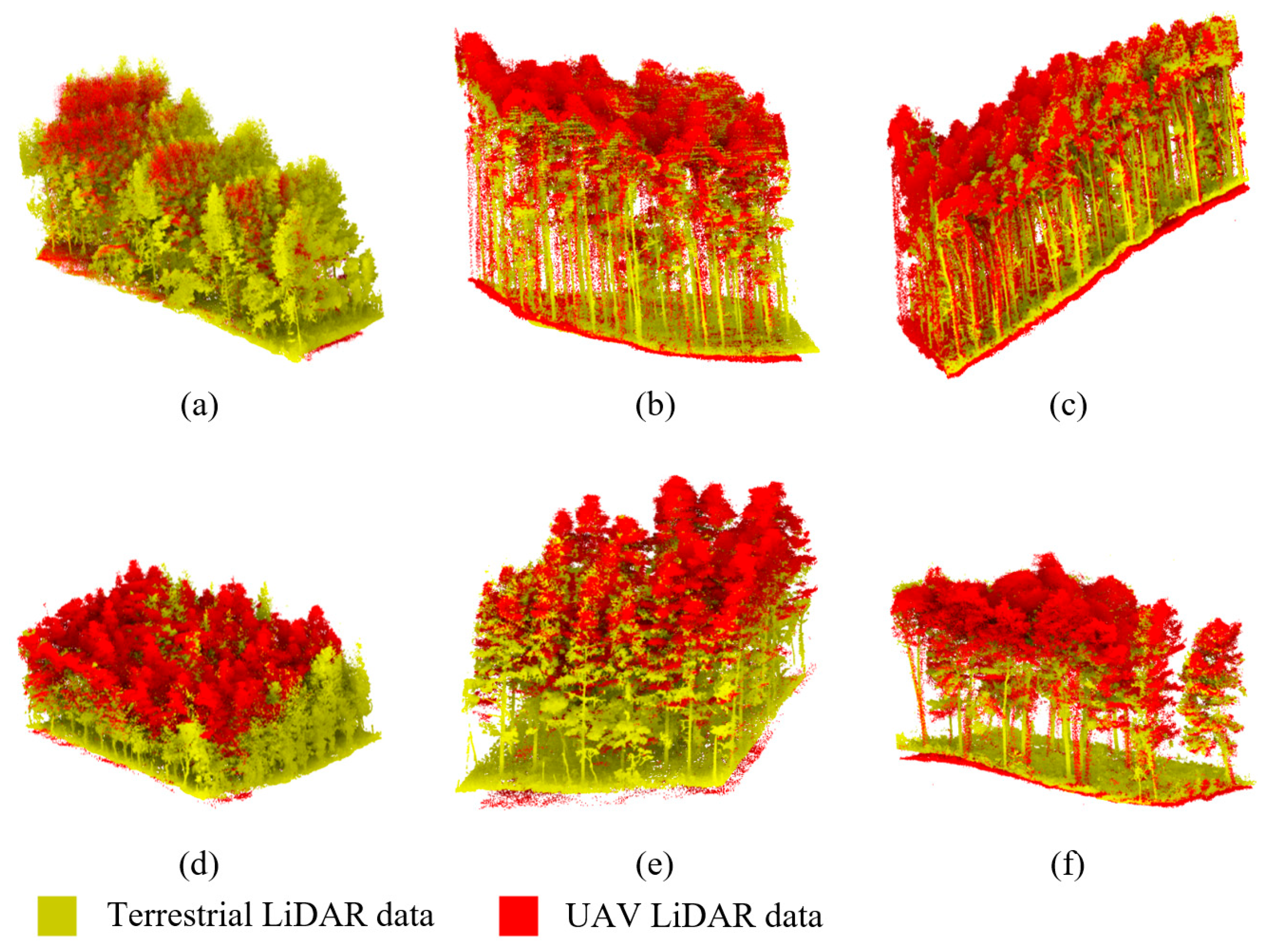 Forests 16 01347 g003 Forests 16 01347 g003