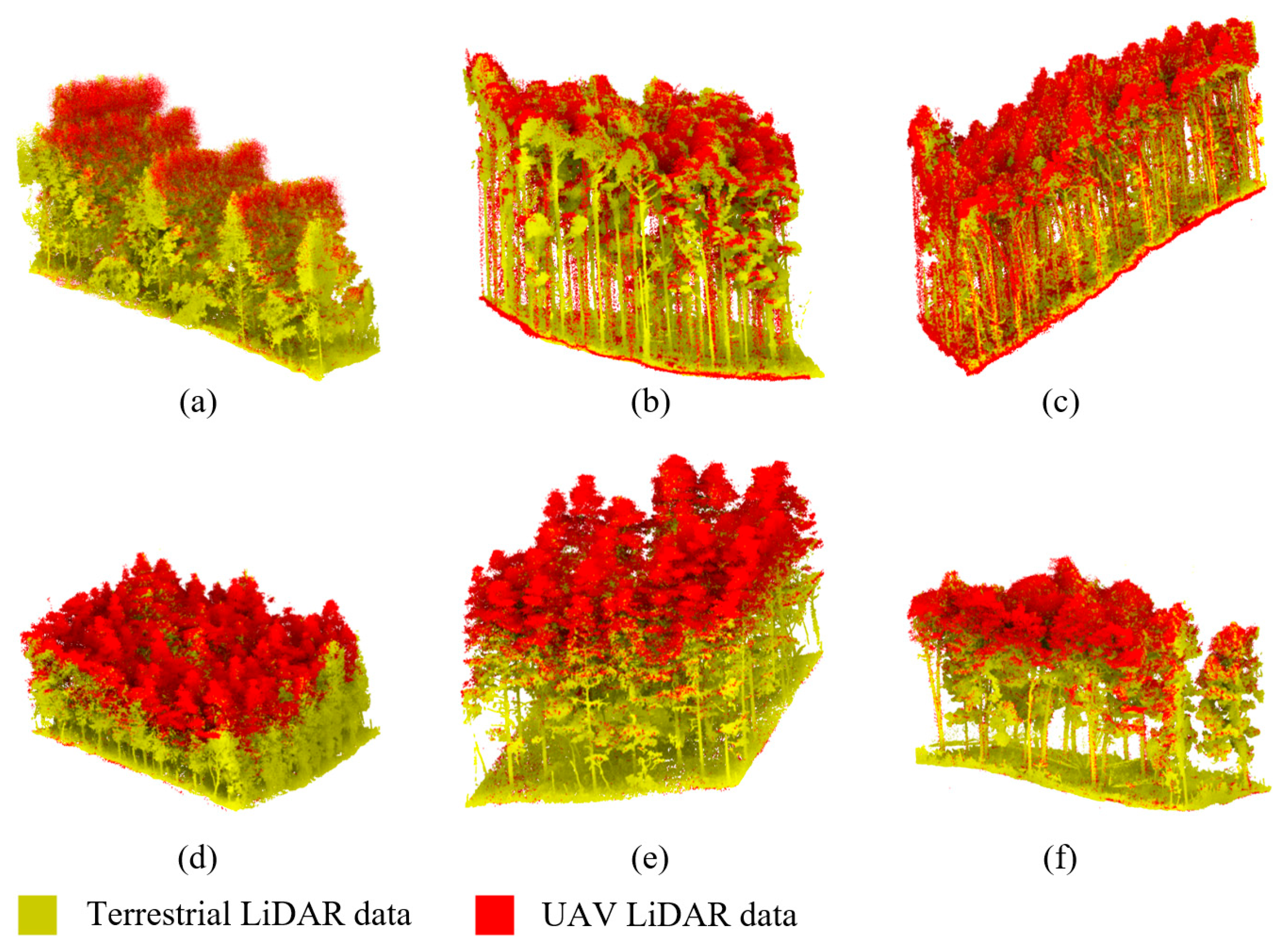 Forests 16 01347 g004 Forests 16 01347 g004