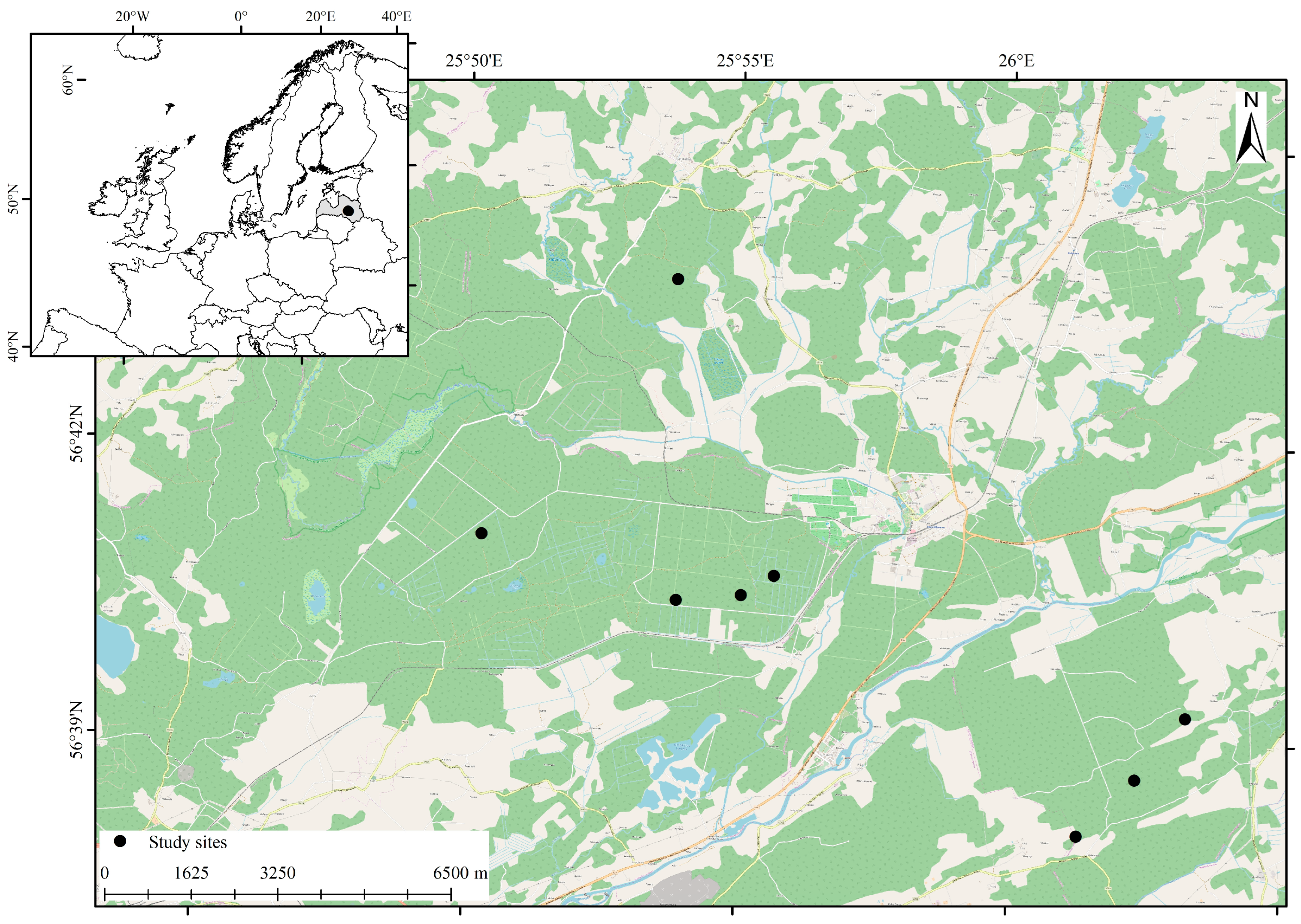 Forests 16 01348 g001