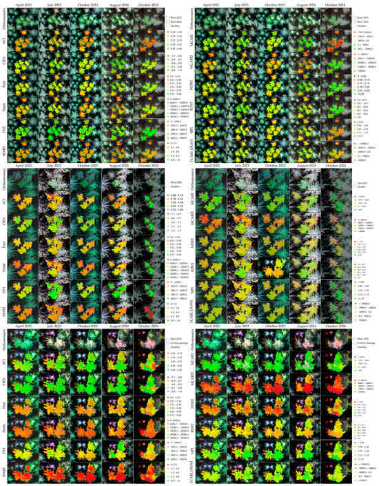 Forests 16 01348 g0a1