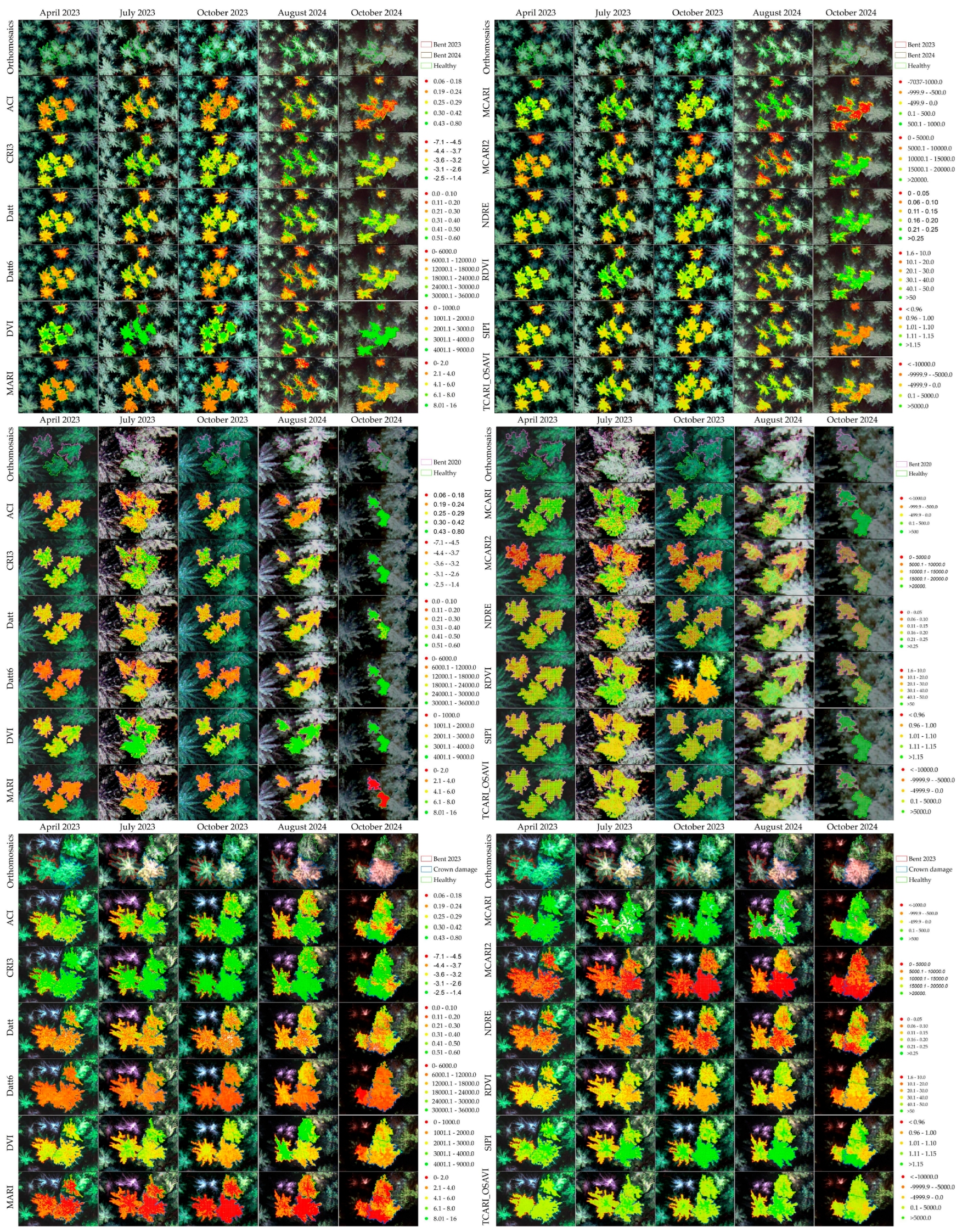 Forests 16 01348 g0a1
