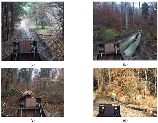 Forests 16 01352 g0a1a Forests 16 01352 g0a1a