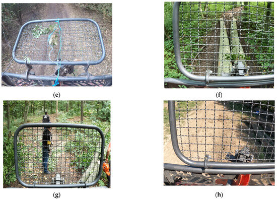 Forests 16 01352 g0a1b