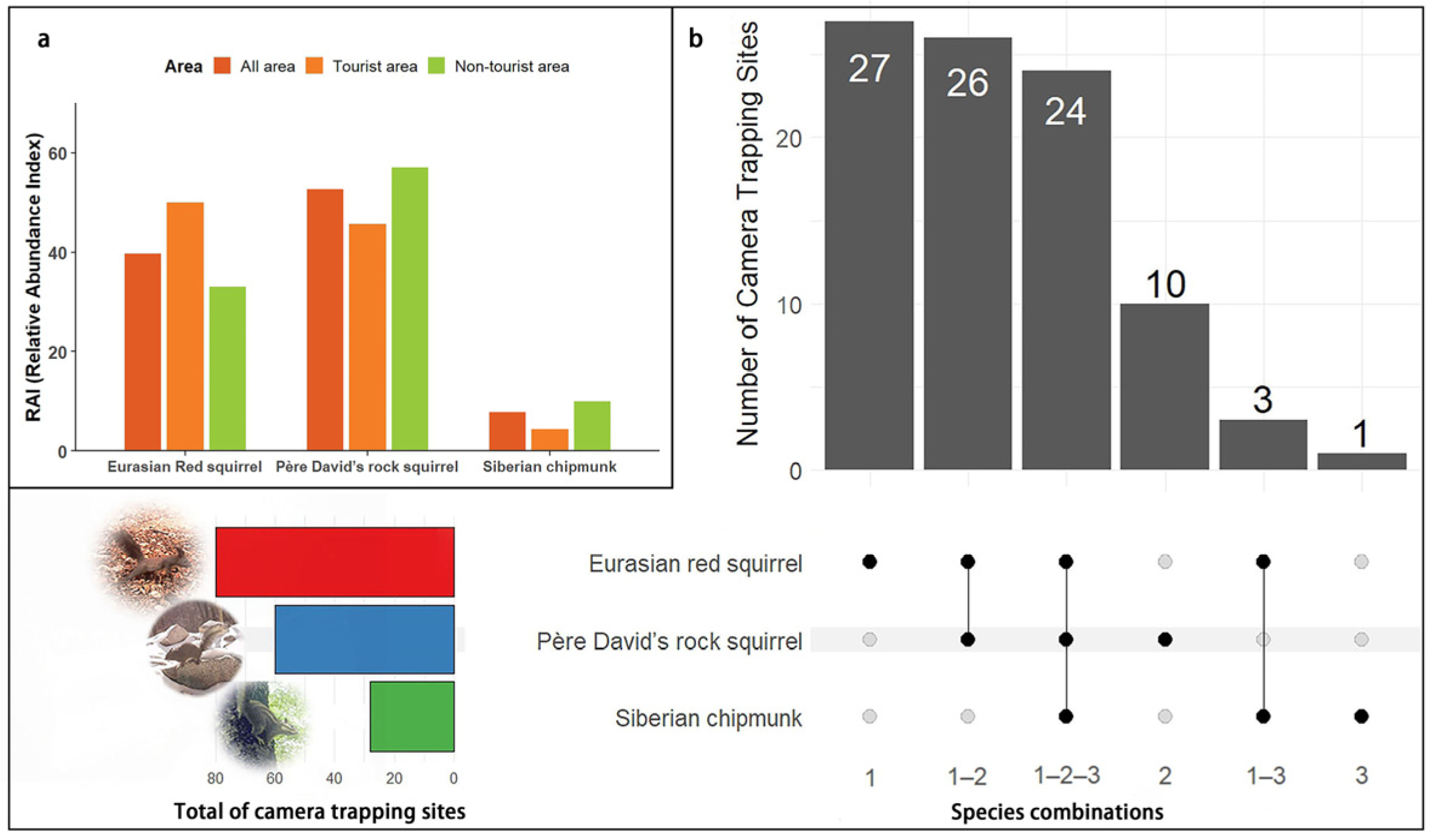 Forests 16 01360 g002