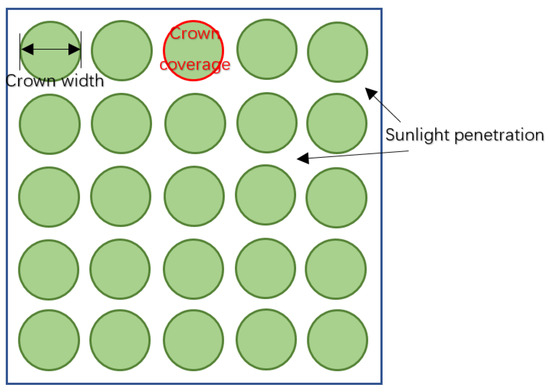 Forests 16 01363 g0a1