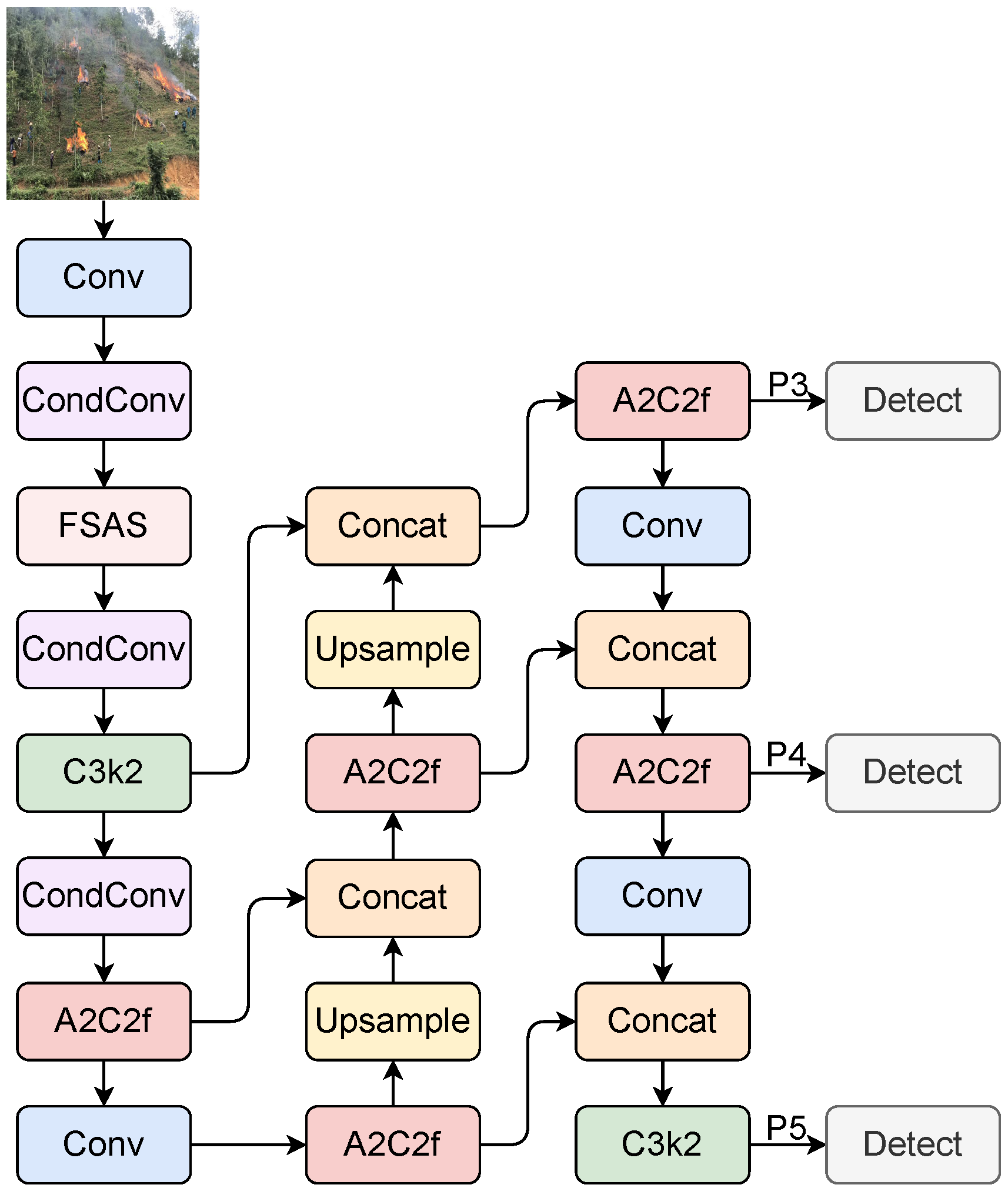 Forests 16 01368 g002